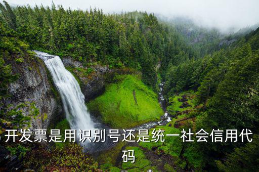 發(fā)票統(tǒng)一社會(huì)信用代碼是什么意思，開(kāi)發(fā)票是用識(shí)別號(hào)還是統(tǒng)一社會(huì)信用代碼