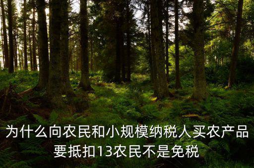 農(nóng)產(chǎn)品為什么要扣除，為什么向農(nóng)民和小規(guī)模納稅人買農(nóng)產(chǎn)品要抵扣13農(nóng)民不是免稅