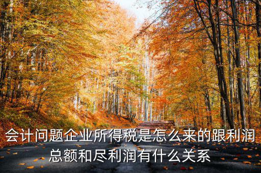 企業(yè)所得稅和什么有關(guān)，增值稅和企業(yè)所得稅有關(guān)系么