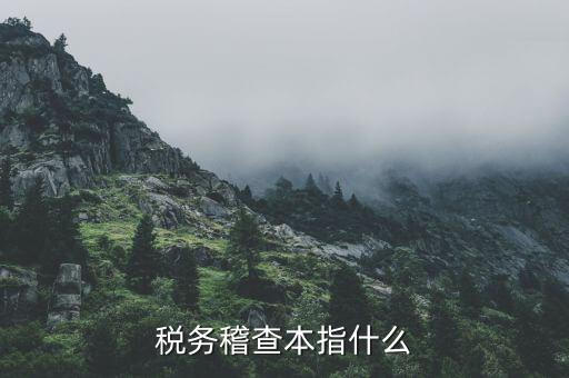 什么叫稅務稽查檢查科臺帳范本，稅務稽查本指什么