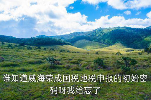 山東默認國稅密碼是什么，登錄國稅網(wǎng)上辦稅服務(wù)廳的用戶名和密碼是什么