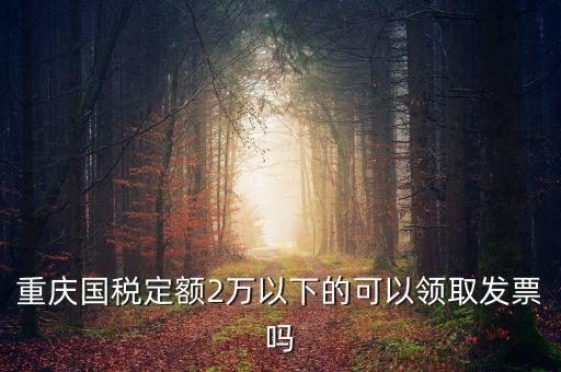 重慶用的什么定額發(fā)票，重慶國稅定額2萬以下的可以領(lǐng)取發(fā)票嗎
