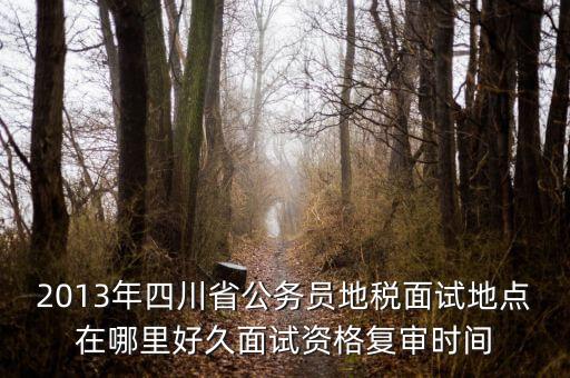 2016年四川地稅資格復(fù)審什么時(shí)候，大概什么時(shí)候資格復(fù)審啊