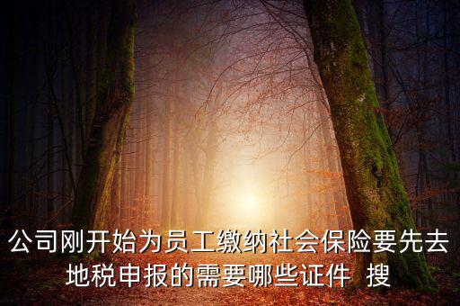 公司剛開始為員工繳納社會(huì)保險(xiǎn)要先去地稅申報(bào)的需要哪些證件  搜