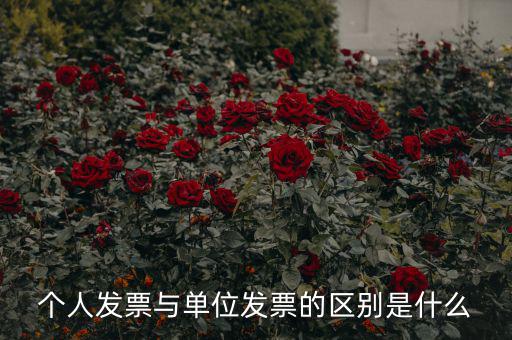 個(gè)人發(fā)票有什么內(nèi)容，個(gè)人發(fā)票與單位發(fā)票的區(qū)別是什么