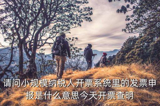 納稅人申報(bào)是什么意思，申報(bào)納稅是什么意思為什么取得營(yíng)業(yè)執(zhí)造后30天就申報(bào)還沒(méi)有銷售
