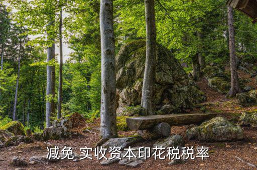 減實(shí)收資本要交什么稅，實(shí)收資本在注冊登記后就需要繳納印花稅以后按年度增加部分計(jì)算繳