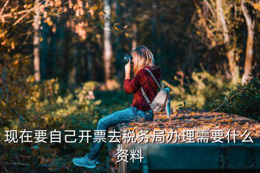 自己開專票要什么資料，開個(gè)人增值稅發(fā)票需要什么資料