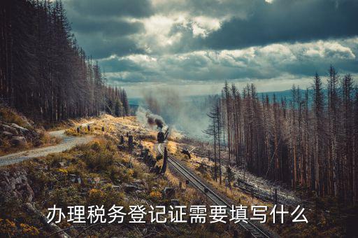 稅務(wù)登記地址填什么，填寫稅務(wù)登記地址是證件上的經(jīng)營地址還是批準(zhǔn)設(shè)立機關(guān)的地址
