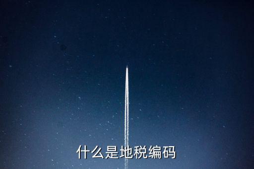 稅收編號是什么意思，稅務登記證上的企業(yè)編碼是什么意思不是就是稅務號