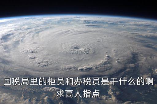 什么叫辦稅員，國稅局里的柜員和辦稅員是干什么的啊求高人指點