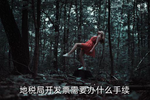 地稅申領(lǐng)發(fā)票需要什么手續(xù)，申請地稅發(fā)票需要什么資料