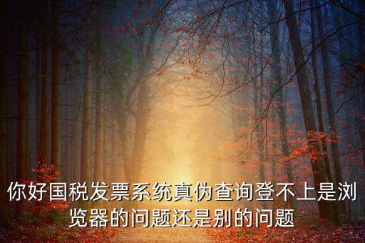 國(guó)稅登不上什么情況，為什么稅號(hào)密碼都對(duì)還是無(wú)法登錄國(guó)稅