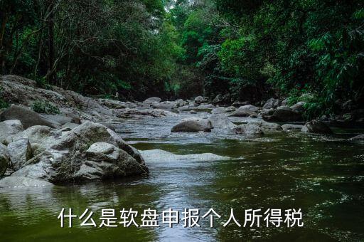 什么是軟盤申報(bào)個人所得稅