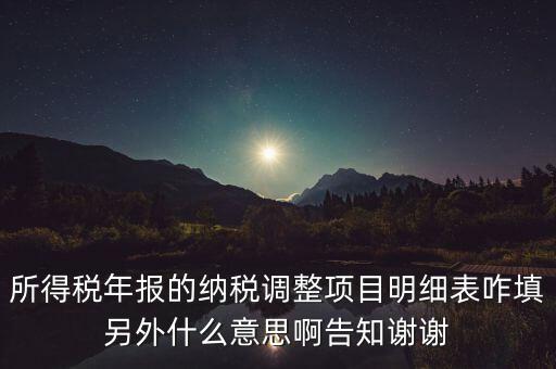 納稅調(diào)整項目明細表是什么意思，稅后調(diào)整是什么意思
