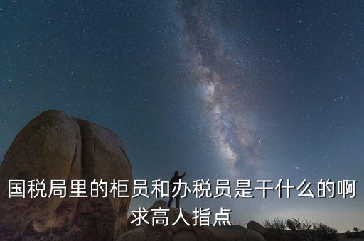 國(guó)稅志愿者可以做什么，國(guó)稅局里的柜員和辦稅員是干什么的啊求高人指點(diǎn)