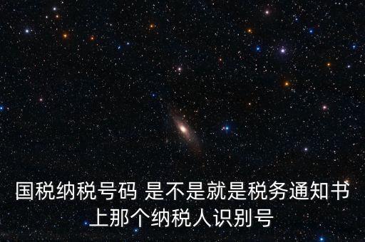 國(guó)稅稅務(wù)號(hào)是什么意思，國(guó)稅納稅號(hào)碼 是不是就是稅務(wù)通知書(shū)上那個(gè)納稅人識(shí)別號(hào)