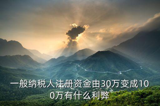 什么是案頭審核，一般納稅人注冊資金由30萬變成100萬有什么利弊