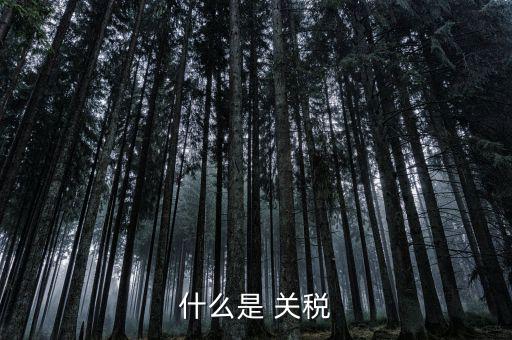 什么是國境關(guān)稅，關(guān)稅是什么