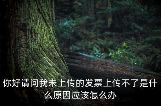 發(fā)票沒上傳什么意思，發(fā)票系統(tǒng)顯示O張未上傳發(fā)票可是在查不到提示查無此票怎么回