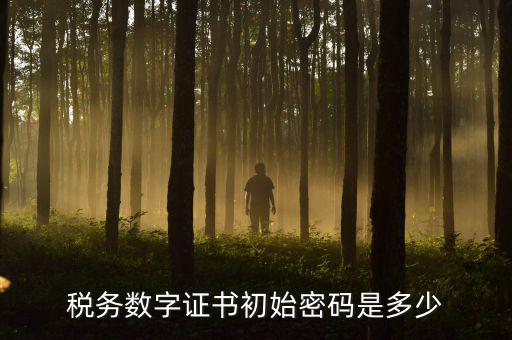 地稅數(shù)字證書的密碼是什么，稅控證書密碼是多少只有可能是8位嗎