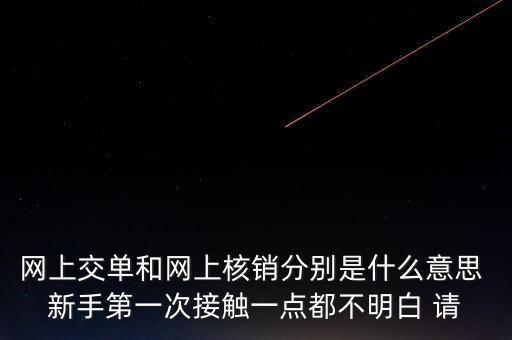 網(wǎng)上交單和網(wǎng)上核銷(xiāo)分別是什么意思 新手第一次接觸一點(diǎn)都不明白 請(qǐng)