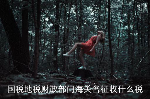 國(guó)稅地稅財(cái)政部門(mén)海關(guān)各征收什么稅