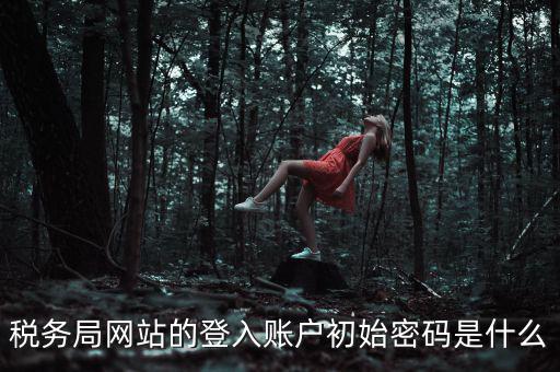 稅務(wù)局網(wǎng)站的登入賬戶(hù)初始密碼是什么
