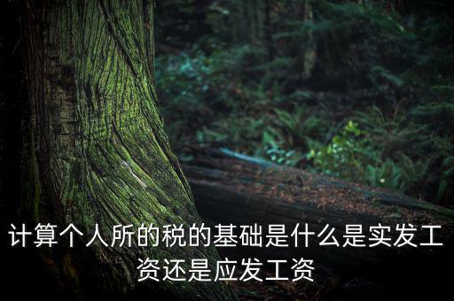 稅金的計(jì)算基礎(chǔ)是什么，計(jì)稅基礎(chǔ)是什么意思