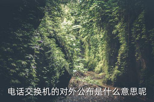 對外公開電話有什么，福建省廈門市湖里區(qū)人民法院對外公開號碼都有哪些