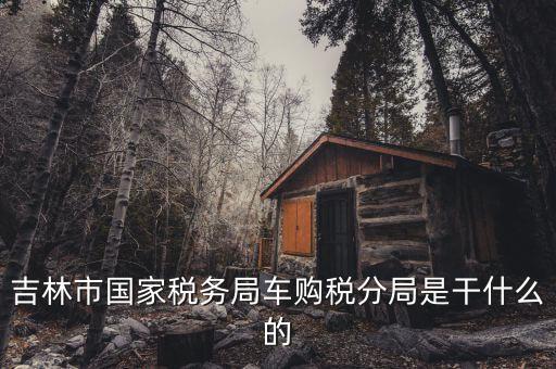 車購(gòu)稅局主要干什么，新車去地稅局干什么
