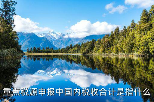 重點(diǎn)稅源填了有什么用，我的電腦重裝后重點(diǎn)稅源以前數(shù)據(jù)怎么查詢