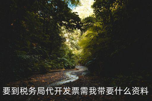 去稅務(wù)局開票需要帶什么資料，去稅務(wù)局開票的話需要帶什么材料呢