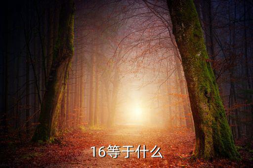 什么深圳1 6政策指，16等于什么