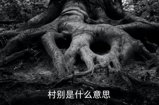 稅務(wù)所村審是什么意思，村別是什么意思