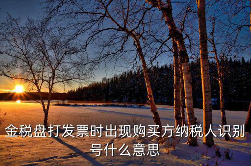 發(fā)票的付款方識別號是什么意思，開票方識別號是什么意思
