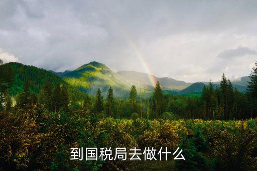 國稅局什么工作，國稅是做什么工作的