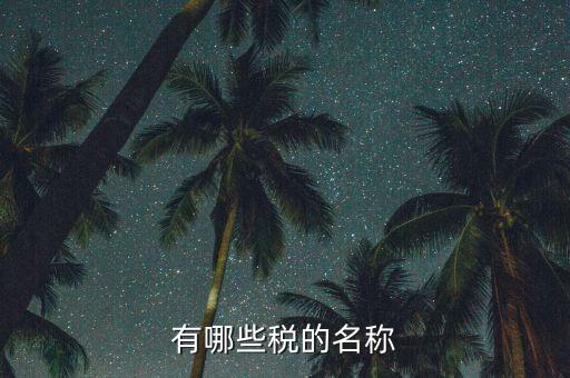 什么是稅收名稱大類，增值稅普通發(fā)票的商品名稱寫大類稅務(wù)局能通過嗎