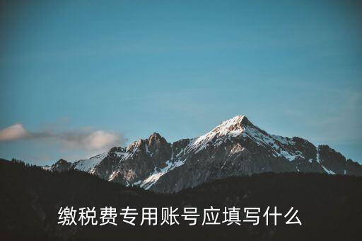 繳稅賬戶填什么，繳稅費專用賬號應(yīng)填寫什么