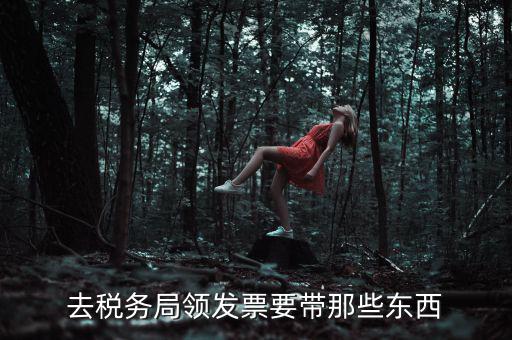 國稅領(lǐng)取發(fā)票需要帶什么，去國稅局領(lǐng)發(fā)票要帶什么