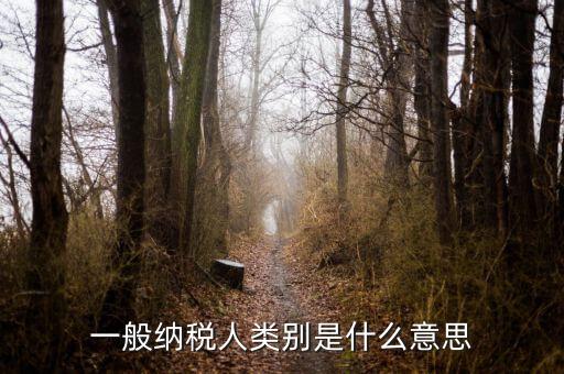 納稅人類別填什么，一般納稅人類別是什么意思