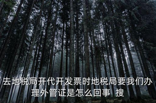 為什么要開電子外管證，像您咨詢一下關(guān)于外管證的事宜我前一陣開了外管證您說是避免
