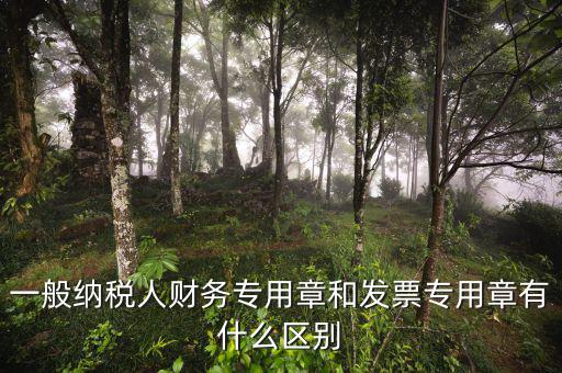 發(fā)票專用章上都有什么區(qū)別，一般納稅人財(cái)務(wù)專用章和發(fā)票專用章有什么區(qū)別
