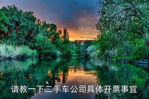 請(qǐng)教一下二手車公司具體開票事宜