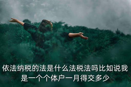什么是依法納稅人，依法納稅的法是什么法稅法嗎比如說我是一個個體戶一月得交多少