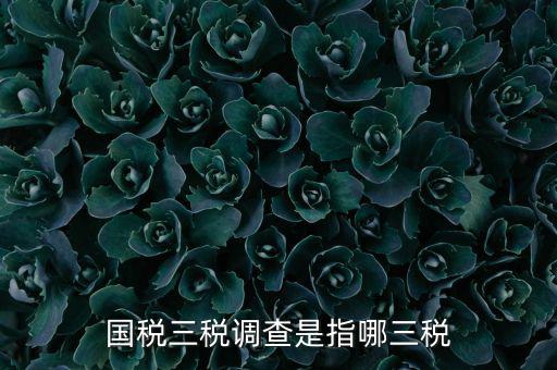 全國稅收調(diào)查是什么，全國稅收調(diào)查表中審核公式IFXXBB8 1 XXBB8 4