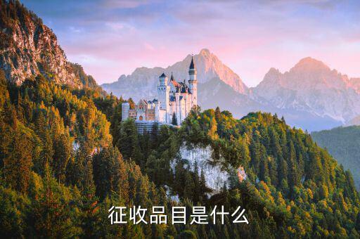 代辦手續(xù)費(fèi)屬于什么征收品目，征收品目是什么