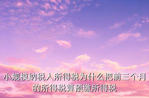 為什么會(huì)有預(yù)繳所得稅，我企業(yè)是今年1月被稅局核定按收入繳納企業(yè)所得稅 為什么第一季度報(bào)