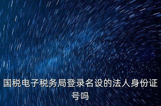 國稅電子稅務局登錄名設的法人身份證號嗎