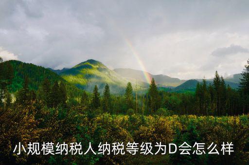 納稅等級(jí)d級(jí)有什么影響，納稅信用d級(jí) 對(duì)股權(quán)關(guān)聯(lián)法人不同的總子公司有影響嗎